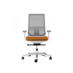 Obrotowe krzesło biurowe z siatki z podstawą 5-Spoke na kółkach ICF PYLA MESH