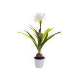 Sztuczna roślina Kare Design AMARYLLIS WHITE