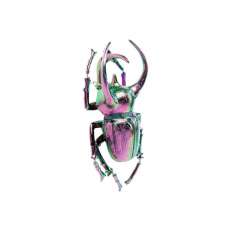 Dekoracje ścienne z żywicy Kare Design ATLAS BEETLE RAINBOW