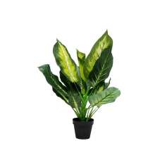 Sztuczna roślina Kare Design DIEFFENBACHIA