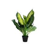 Sztuczna roślina Kare Design DIEFFENBACHIA