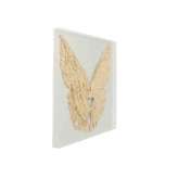 Element dekoracyjny z płyty MDF Kare Design WINGS GOLD WHITE