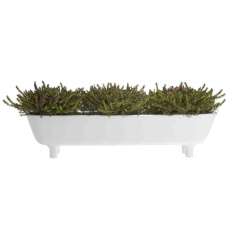 Niska prostokątna donica z kamionki szkliwionej Ligne Roset LONG POT