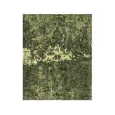 Wzorzysty, ręcznie robiony dywan z wełny tybetańskiej i chińskiego jedwabiu Sarawagi SHEESH MAHAL GREEN