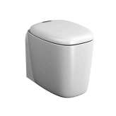 Toaleta ceramiczna tylna do ściany VitrA Bathrooms Plural