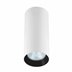 Oprawa Light Prestige Manacor białe z czarnym ringiem 17 cm LP-232/1D - 170 WH/BK