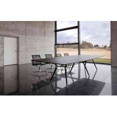 Zoom by Mobimex X2 Conference