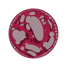 YO2 Sidekicks | SK3.01.3 | Ø 350 cm