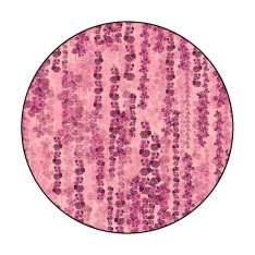 YO2 Night Bloom | NB3.01.2 | Ø 350 cm