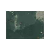 YO2 Mystify Tints | MT3.04.3 | 200 x 300 cm