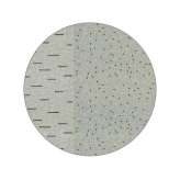 YO2 Mosaique | MQ3.04.1 | Ø 350 cm