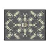 YO2 Khaos | KS3.01.2 | 200 x 300 cm