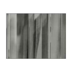 YO2 Isolate | IS3.01.3 | 200 x 300 cm