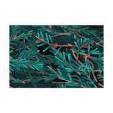 YO2 Into The Woods | IW3.01 | 200 x 300 cm