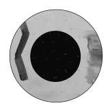 YO2 Globular | GO3.01.3 | Ø 350 cm