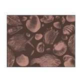 YO2 Flossil | FL3.01.2 | 200 x 300 cm