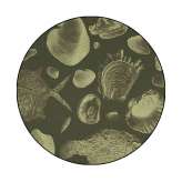 YO2 Flossil | FL3.01.1 | Ø 350 cm