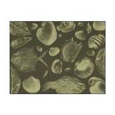 YO2 Flossil | FL3.01.1 | 200 x 300 cm