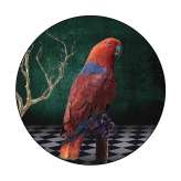 YO2 Fantasmagoria | FA3.04.2 | Ø 350 cm