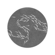 YO2 Coax | CX3.01.1 | Ø 350 cm