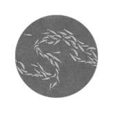 YO2 Coax | CX3.01.1 | Ø 350 cm