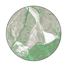 YO2 Birds Eye View | BI3.02.3 | Ø 350 cm