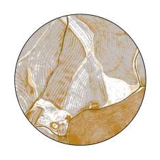 YO2 Birds Eye View | BI3.02.2 | Ø 350 cm