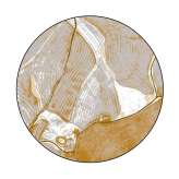 YO2 Birds Eye View | BI3.02.2 | Ø 350 cm