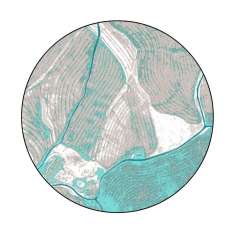 YO2 Birds Eye View | BI3.02.1 | Ø 350 cm