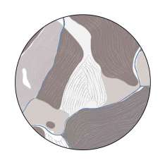 YO2 Birds Eye View | BI3.01.3 | Ø 350 cm