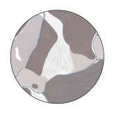 YO2 Birds Eye View | BI3.01.3 | Ø 350 cm