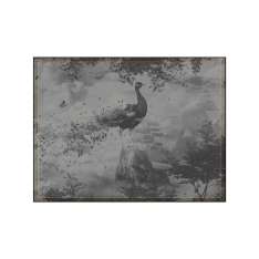 YO2 Arena | AR3.01.3 | 200 x 300 cm