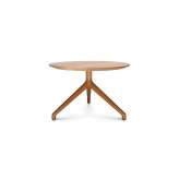 Wagner W-Table - Wood Coffee Table