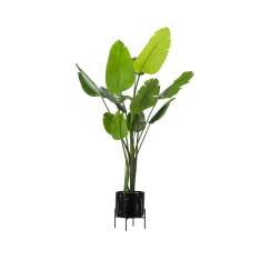 Vincent Sheppard Ivo plant stand small