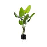 Vincent Sheppard Ivo plant stand small