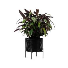 Vincent Sheppard Ivo plant stand medium