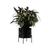 Vincent Sheppard Ivo plant stand medium