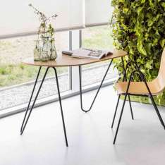 VANK PEEL desk