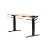 VANK MOVE sit&stand desk