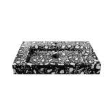 Urbi et Orbi Plura Terra