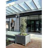 Univers et Cité Evolution Planter Square