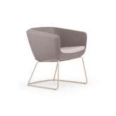 True Design Arca Small