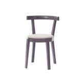 TON A.S. Punton Chair upholstered