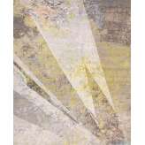 THIBAULT VAN RENNE Spaces shock 01
