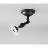 Tekna Lilley Spot On Box