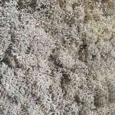 StoneslikeStones Islandmoos weiss