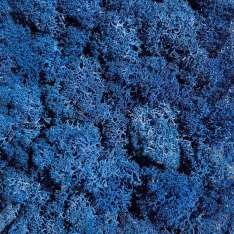 StoneslikeStones Islandmoos blau