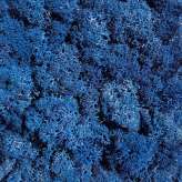 StoneslikeStones Islandmoos blau