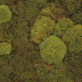 StoneslikeStones Bollmoos Flach