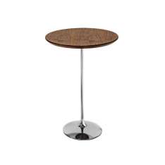 Sovet Tulip